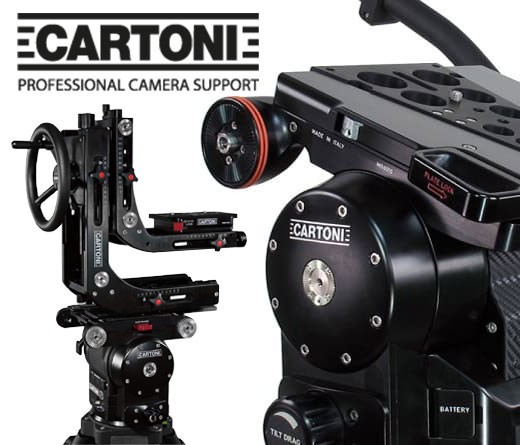 Cartoni